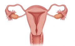 先天性卵巢发育不全可以做试管助孕吗