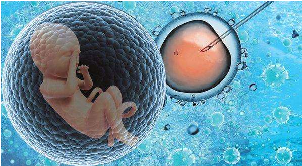 男性的精子质量与试管婴儿的妊娠率之间有什么关系