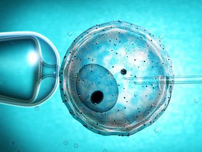 体外受精----胚胎移植及其衍生技术规范