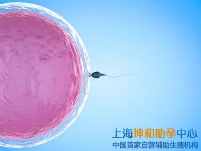 试管婴儿供卵代生助孕中介：上海供卵要等多久 费用多少钱