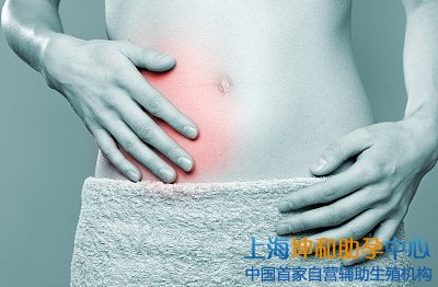 上海三大助孕公司_卵巢差能做上海三代试管婴儿吗？