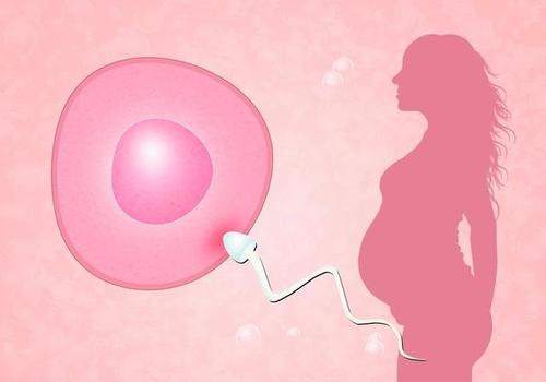 两次宫外孕后试管婴儿能成功吗